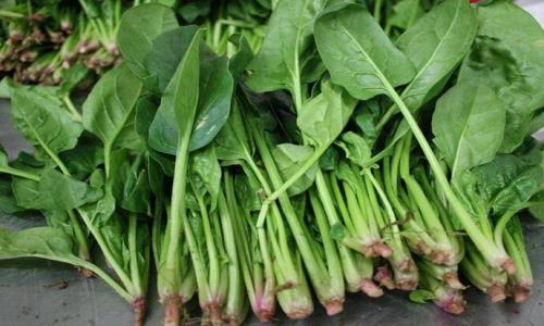 深圳送菜公司分享如何有效清除蔬菜生鮮農(nóng)藥殘留